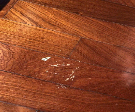 油漆91视频区导航